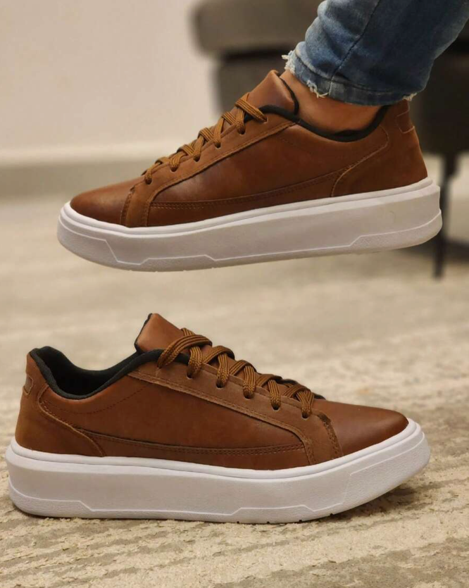 Shoes skater