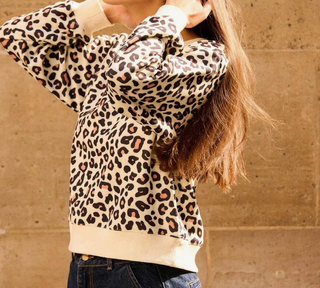 sweatshirt Hoodie