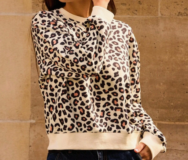 sweatshirt Hoodie