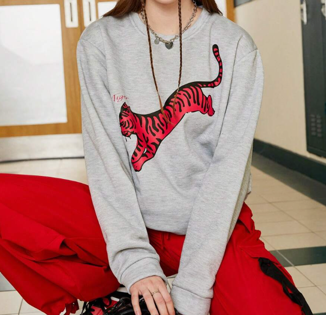 sweatshirt Hoodie